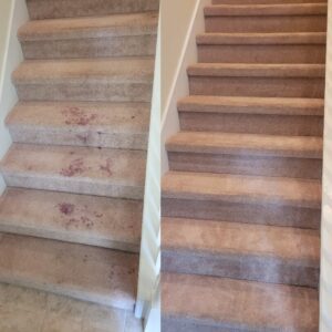 carpet cleaning in delaware county