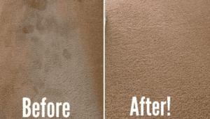 our carpet cleaning service can help
